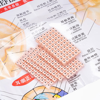 1200 Piece Acupressure Ear Beads Ear Counts Acupuncture Acupressure Tools Disposable HonosonBuy Supplements Australia
