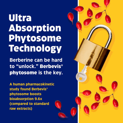 Enzymedica, Berberine Phytosome EnzymedicaBuy Supplements Australia