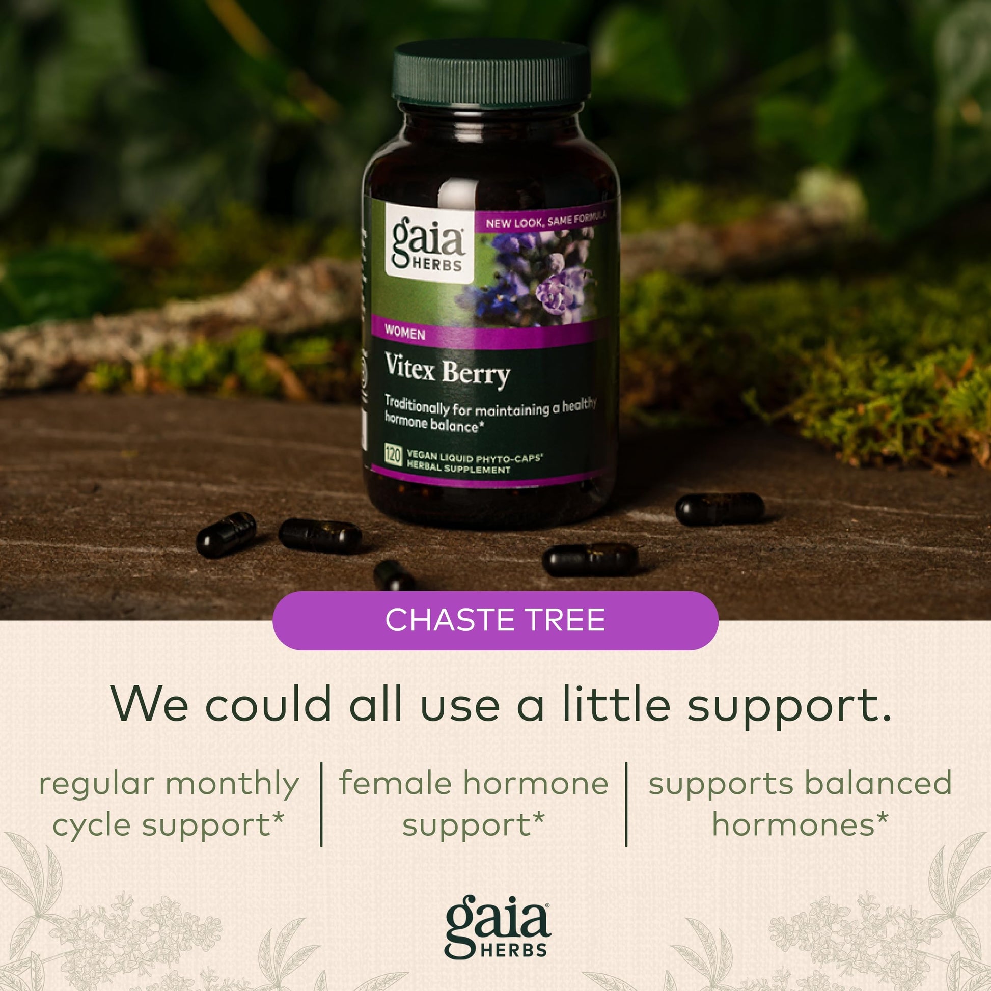 Gaia Herbs, Vitex Berry Vegan Liquid Phyto Capsules - PMS Support Supplement, Chaste Tree berry Gaia HerbsBuy Supplements Australia