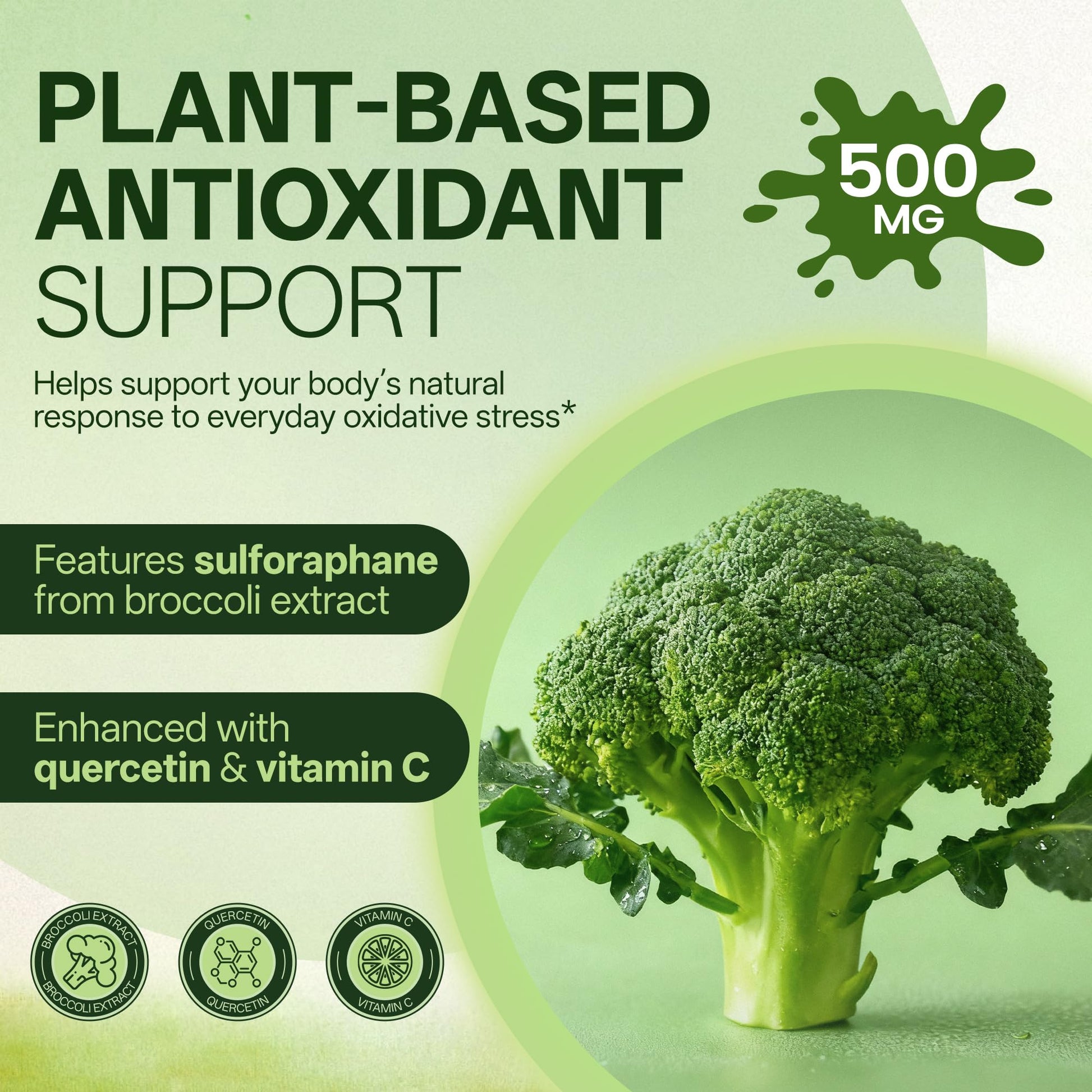 Liposomal Sulforaphane 500mg Supplement from Broccoli Extract with Quercetin, Black Pepper & Vitamin C – Antioxidant, Detox & Cellular Support, Cellular Health Formula for Men & Women, 60 Capsules inGreensBuy Supplements Australia