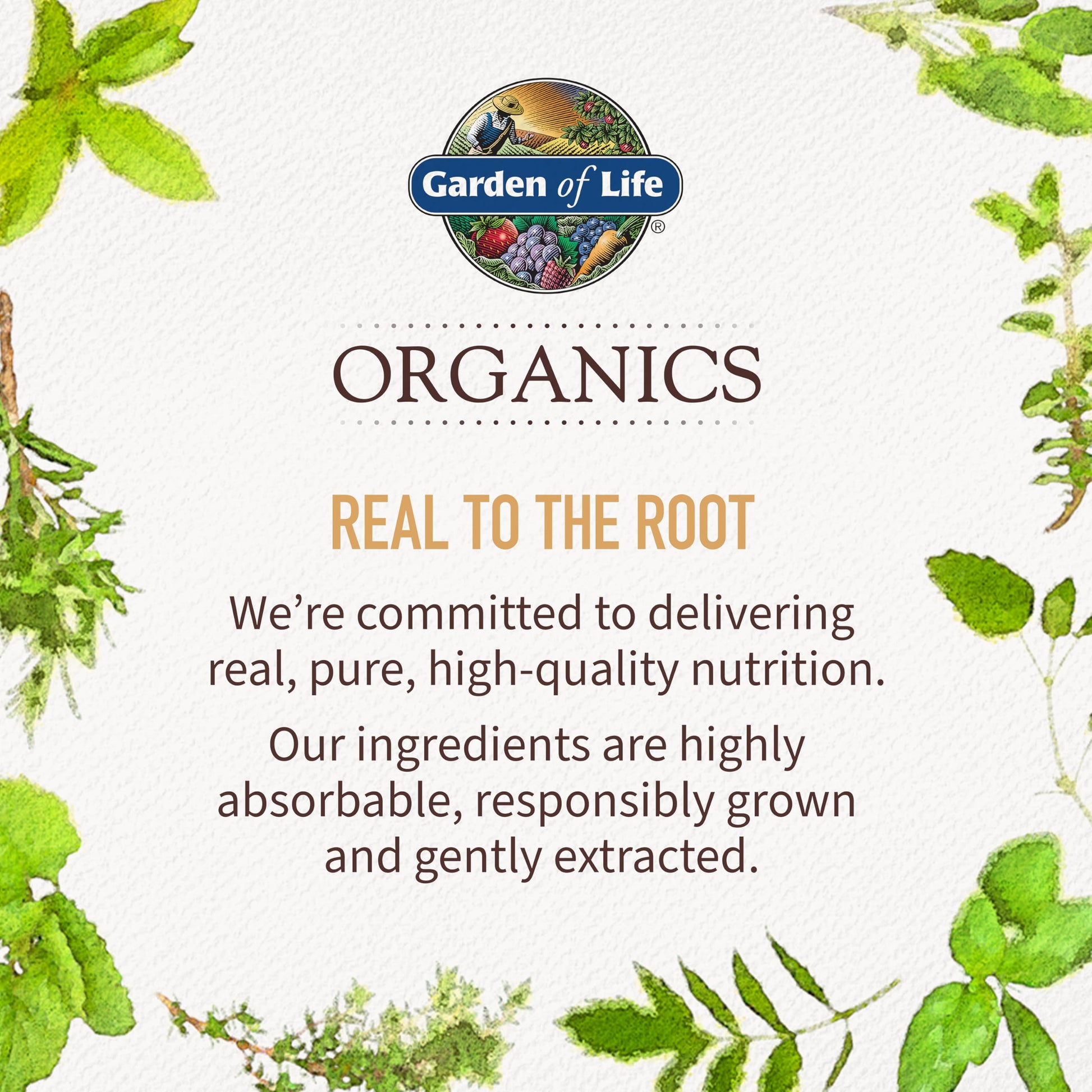 Garden of Life Organics Organic Multivitamin for Women - Womens Multi with Vitamin C, D, Folate, B6, B12, Biotin, Iron Garden of LifeBuy Supplements Australia