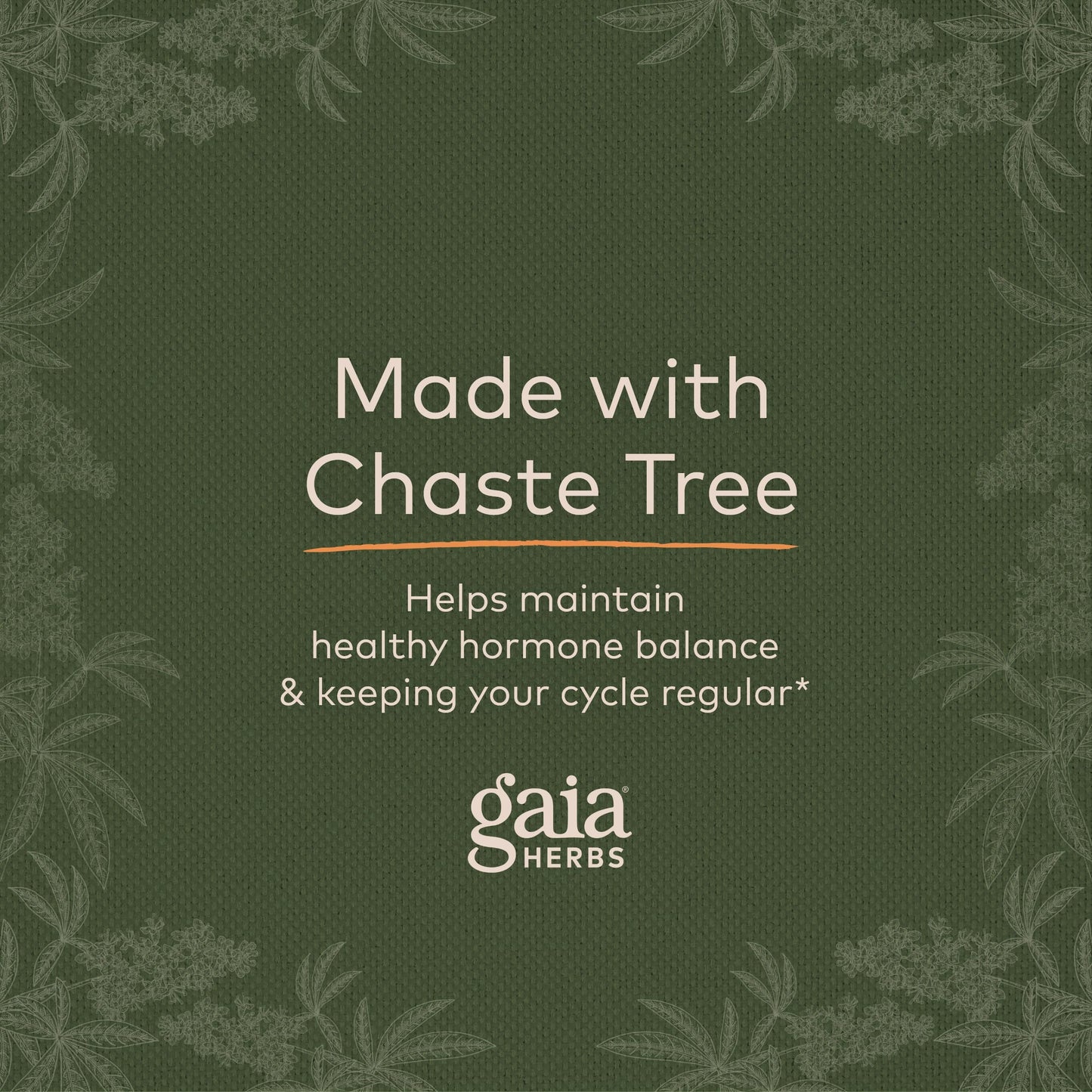 Gaia Herbs, Vitex Berry Vegan Liquid Phyto Capsules - PMS Support Supplement, Chaste Tree berry Gaia HerbsBuy Supplements Australia