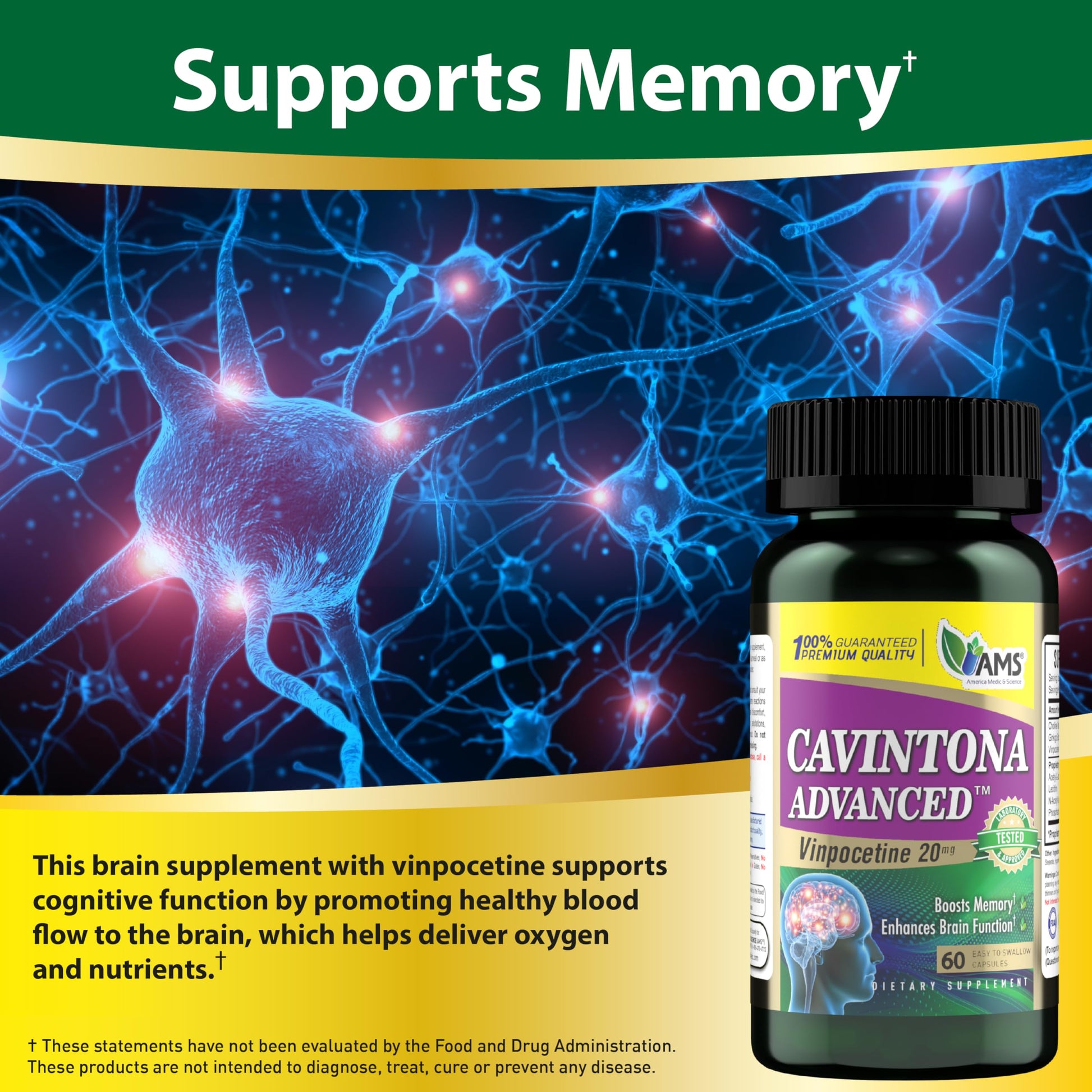 America Medic & Science Cavintona Advanced Supplement – Vinpocetine 20mg for Memory, Recall & Brain Health – Supports Cognitive Function, Focus, Mental Clarity & Blood Flow – 60 Capsules America Medic & ScienceBuy Supplements Australia