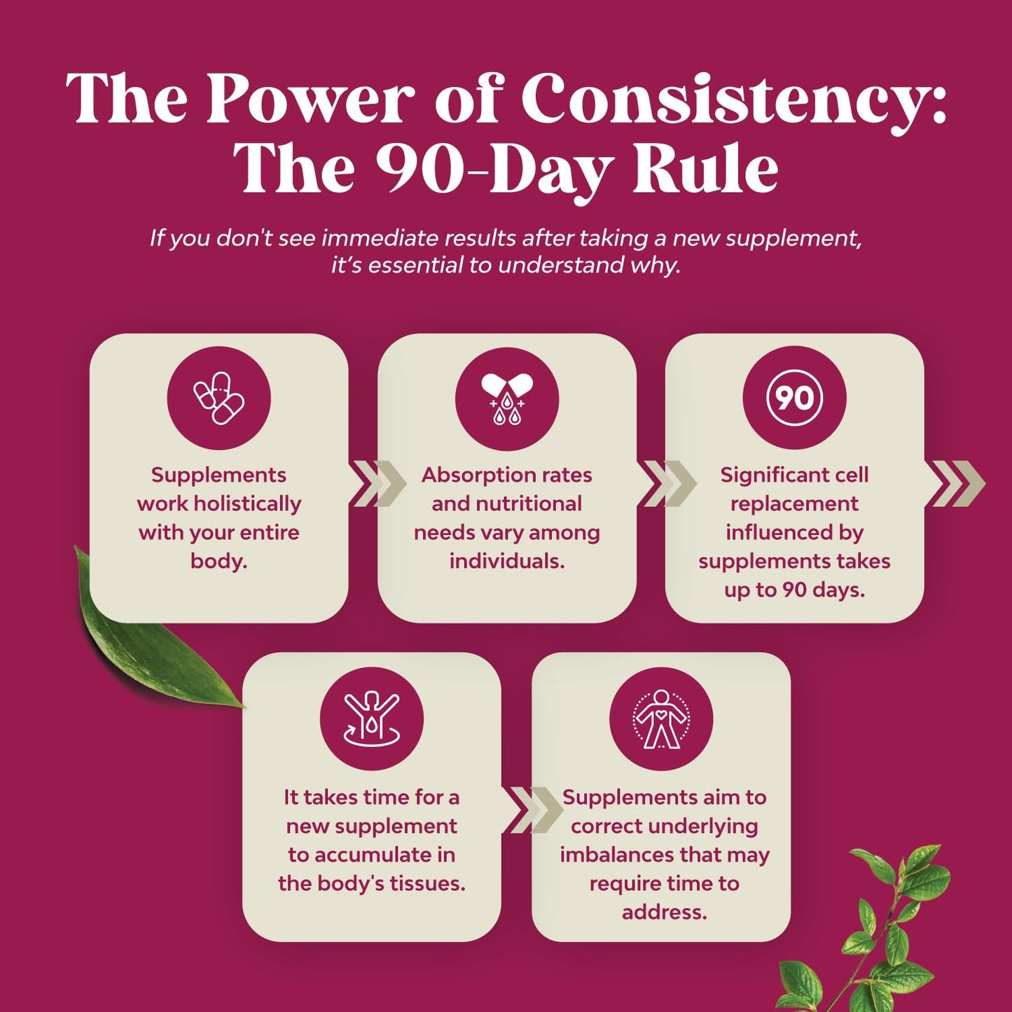 ACV Apple Cider Vinegar Gummies - Natural Energy Supplement ACV with Mother - Maple Wellness Supplements