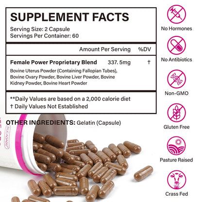 Beef Organ Supplement for Women - Grass-Fed Beef Liver, Kidney, Heart, Uterus, Ovary - Supports Female Energy & Hormone Balance - Pasture Raised in New Zealand - Maple Wellness Supplements