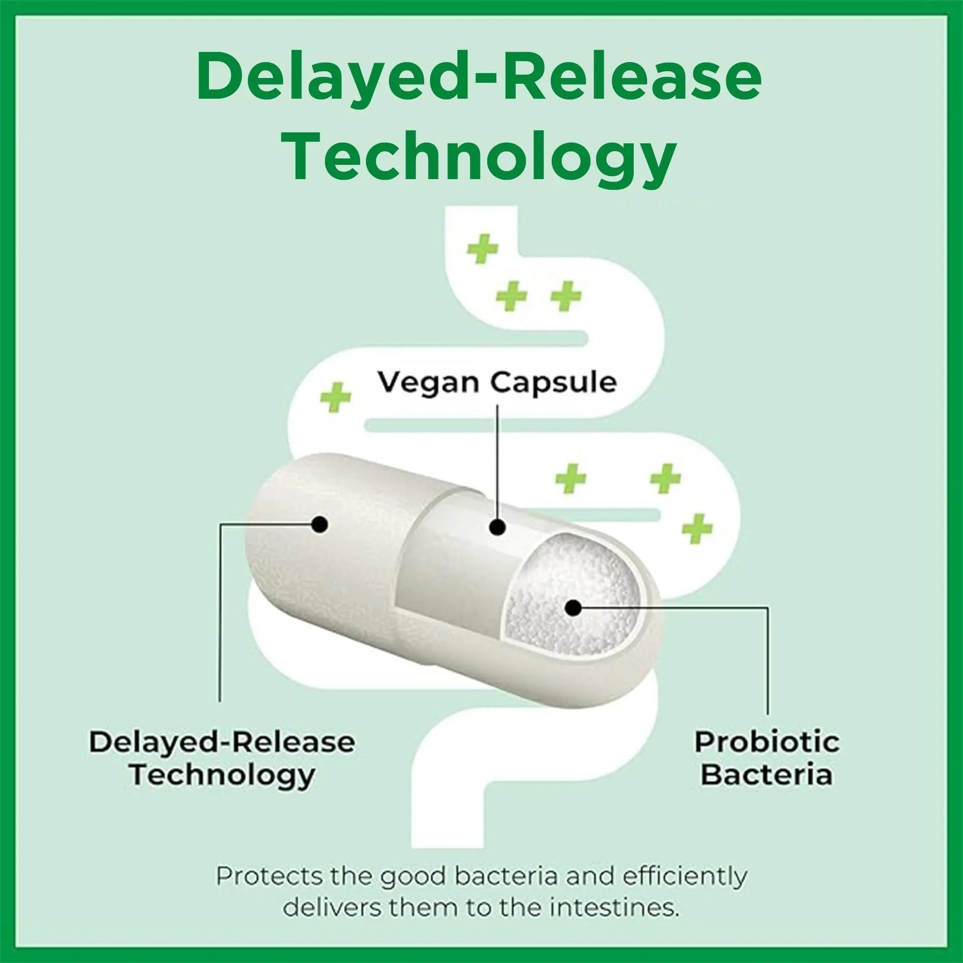 Bio-K+ Probiotics for Heart Health with Limosilactobacillus reuteri LRC – Heart Health Probiotic for Cholesterol & Cardiovascular Support, 5 Billion CFU, Vegan, Shelf-Stable – 60 Capsules - Maple Wellness Supplements