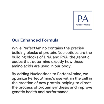 BodyHealth PerfectAmino (600 ct) Easy to Swallow Tablets, Essential Amino Acids Supplement with BCAAs, Vegan Protein for Pre/Post Workout & Muscle Recovery with Lysine, Tryptophan, Leucine, Methionine - Maple Wellness Supplements