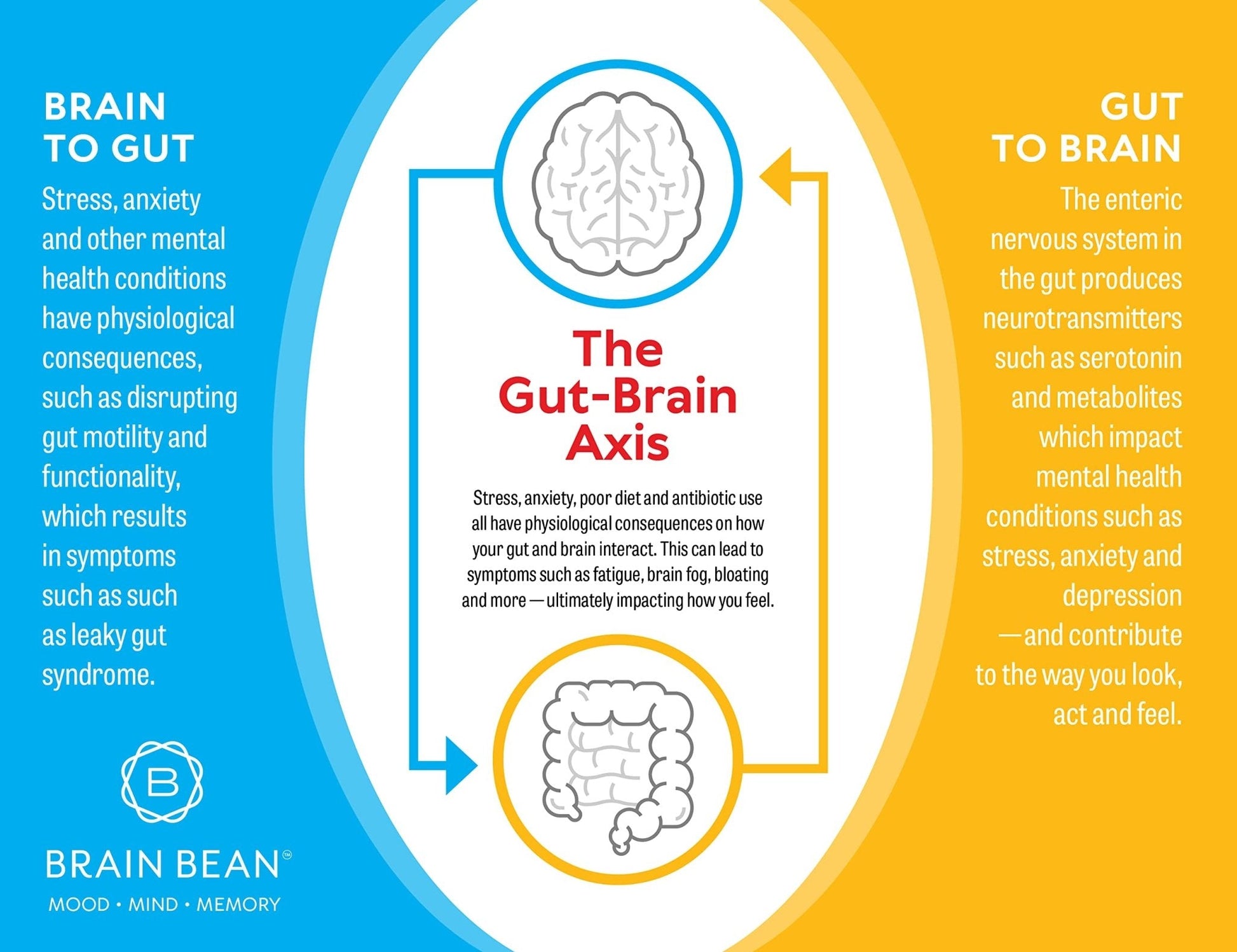 Brain Basics Ultra Pure IgG Supplement - Dairy-Free Supplement IgG-Immunolin Powder, Blended Vitamin & Mineral Supplements, 150g, 60 Servings - Maple Wellness Supplements