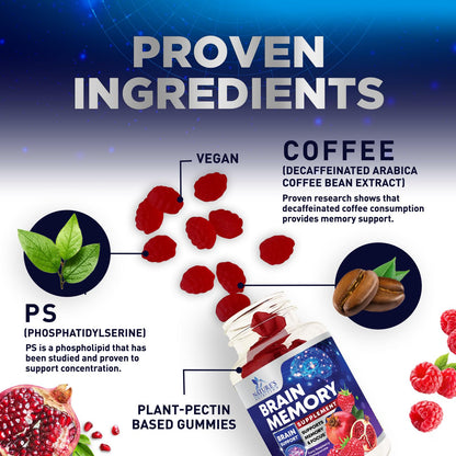 Brain Supplements for Memory & Focus Gummies - Brain Health Clarity with B6 B12 & Phosphatidylserine - Natural Nootropics Cognitive Concentration & Alertness Support Vitamins - 60 Vegan Gummies - Maple Wellness Supplements