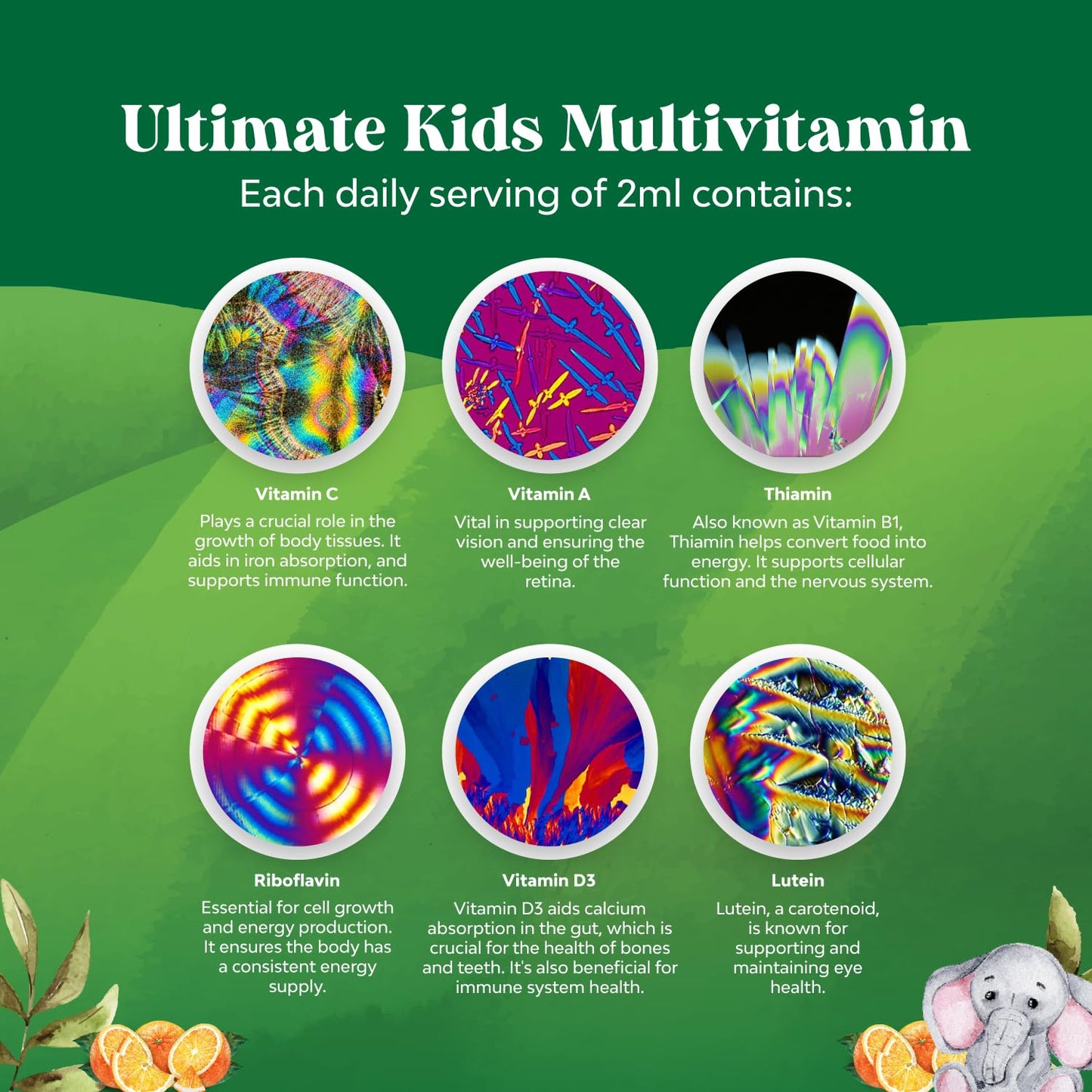Bundle of Kids DHA Omega 3 Gummies - Fatty Acids Omega 3 6 9 for Brain Immune Strength Vision Focus Support and Liquid Multivitamin for Kids Immunity Support - Maple Wellness Supplements