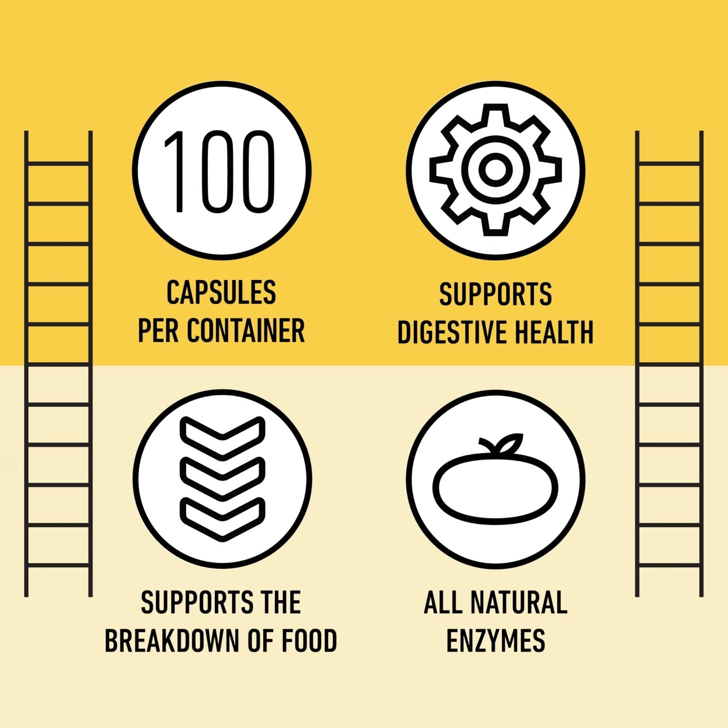 Complete Natural Products Digestive Enzyme Capsules, 550mg, 100ct | Plant-Based Formula - Maple Wellness Supplements