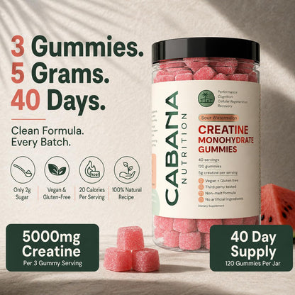 Creatine Monohydrate Gummies 5g - Only 2g Sugar, Made in USA - Sour Watermelon Flavor - Vegan & 3rd Party Tested - Pre & Post Workout Supplement for Women and Men (120 Count, 40 Servings) - Maple Wellness Supplements