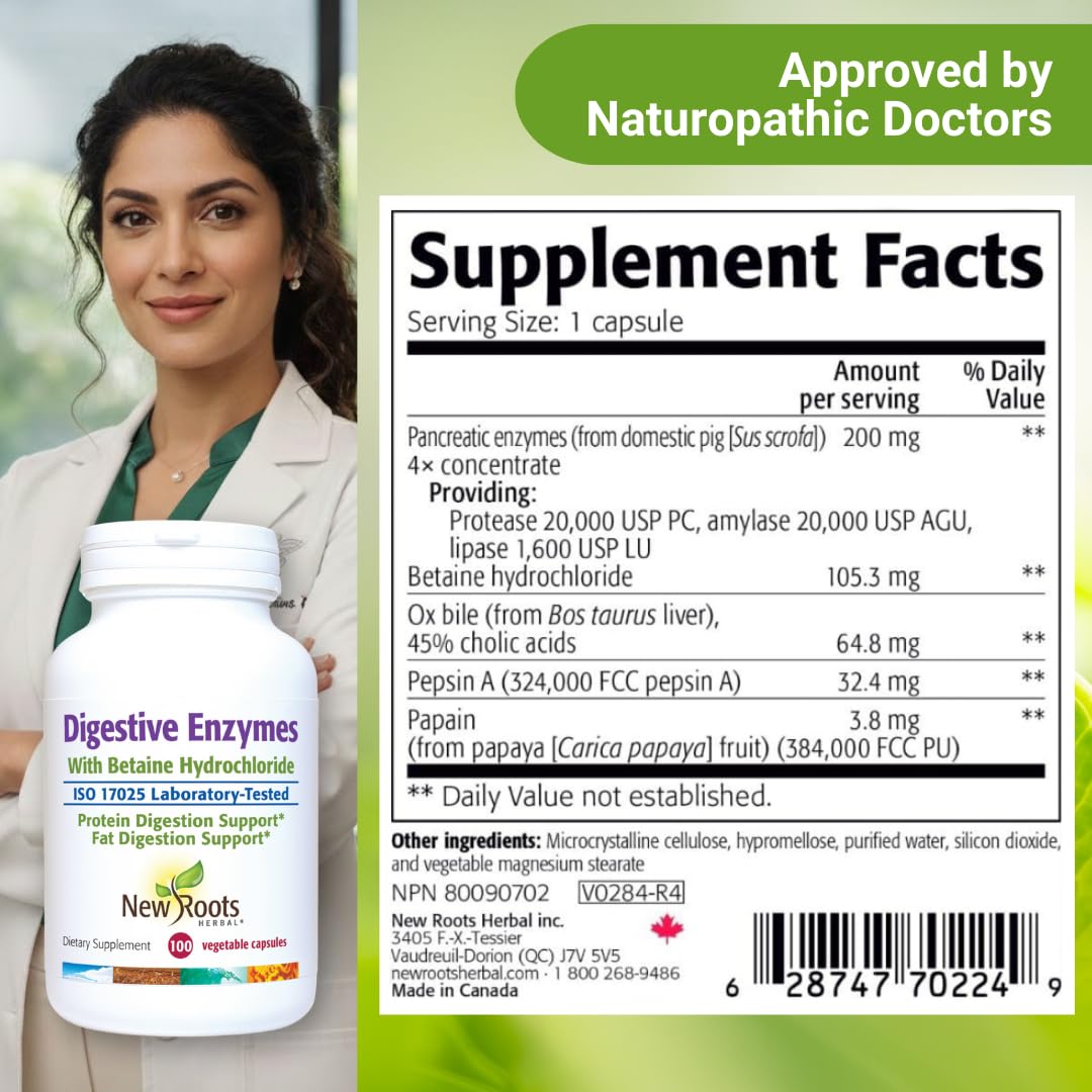 Digestive Enzymes with Ox Bile and Betaine HCl (100 Caps) Ox Bile Supplements for No Gallbladder with Papain & Pepsin A | Pancrease Cleanse & Detox - Maple Wellness Supplements