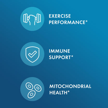Dr. Mercola H2 Molecular Hydrogen Tablets, Creates Hydrogen Rich Water (8 ppm), Supports Cellular Energy, Brain Health & Healthy Aging - Maple Wellness Supplements