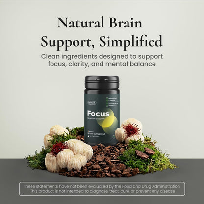 ELEVITA WELLNESS Focus Supplement (Made in Italy) | Premium Blend with L-Theanine, Lion's Mane & B Vitamins, Saffron and Vitamin D | Focus & Cognitive Support for Men & Women - Maple Wellness Supplements