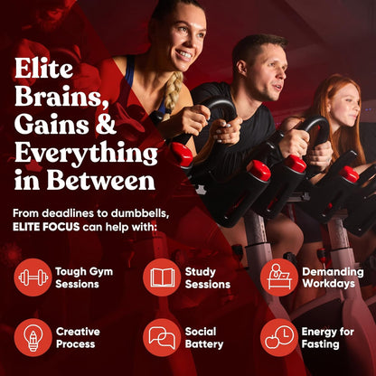 Eu Natural Elite Caffeine Pills with L-Theanine - 100mg Caffeine + 200mg L-Theanine - Jitter-Free Focused Energy & Clean Nootropic Stack - 240 Soft Capsules - Maple Wellness Supplements