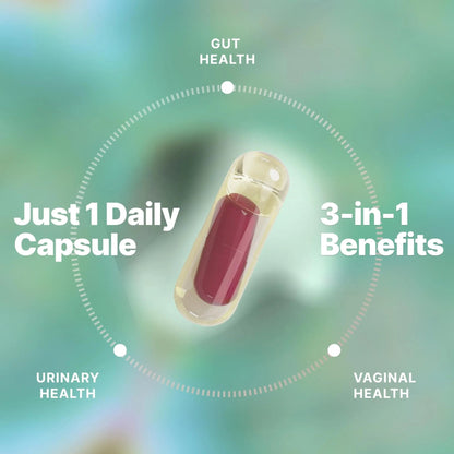 Evvy Women's 3-in-1 Complete Probiotic I Daily Probiotic Supplement to Reduce Bloating I Supports Gut, Urinary & Vaginal Health | Includes Vaginal Probiotics for Feminine Care | 30 Day Supply - Maple Wellness Supplements