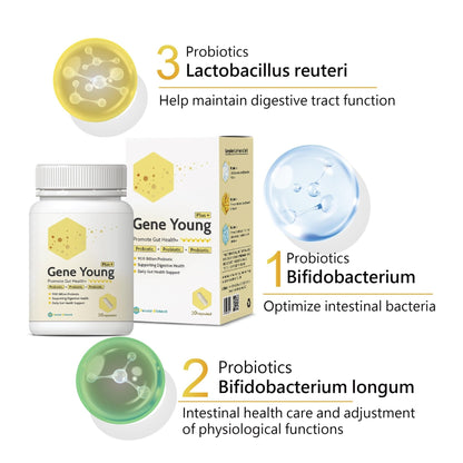 Fecula Biotech Synbiotic for Gut Health | 3-in-1 Daily Prebiotic, Probiotic, Postbiotic for Digestive Health, Bloat & Immune Support - Maple Wellness Supplements