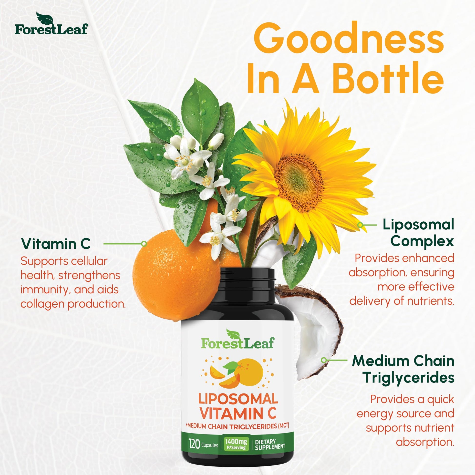 ForestLeaf Liposomal Vitamin C 1400mg Capsules | High Dose Vitamin C Liposomal Supplement w Coconut Oil Fatty Acids | Fast Absorption | Immune Support, - Maple Wellness Supplements
