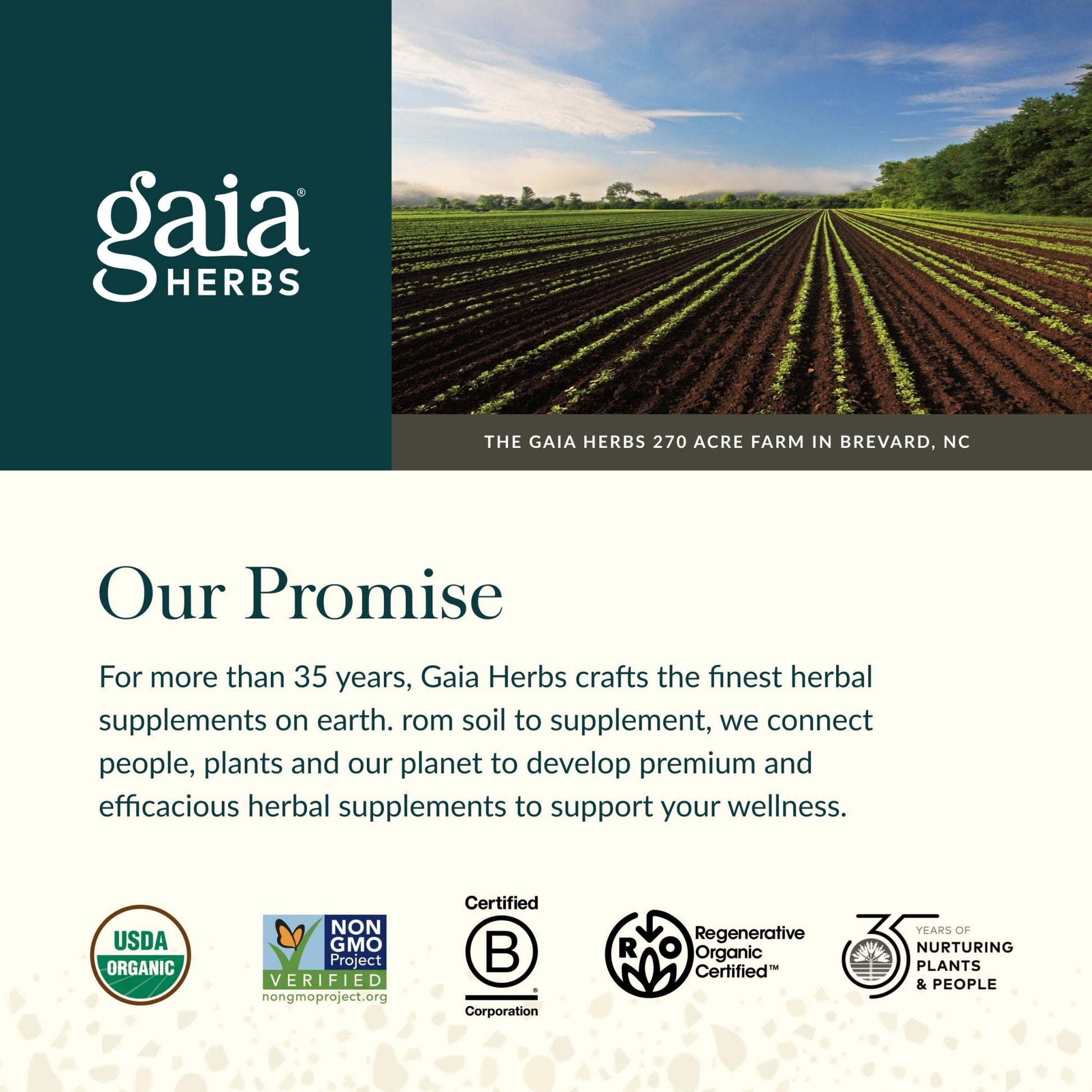 Gaia Herbs Organic Ashwagandha Gummies - Stress Support* - Made with Cinnamon & Ginger - Gluten Free & Vegan - 45 Count (15 Servings) - Maple Wellness Supplements