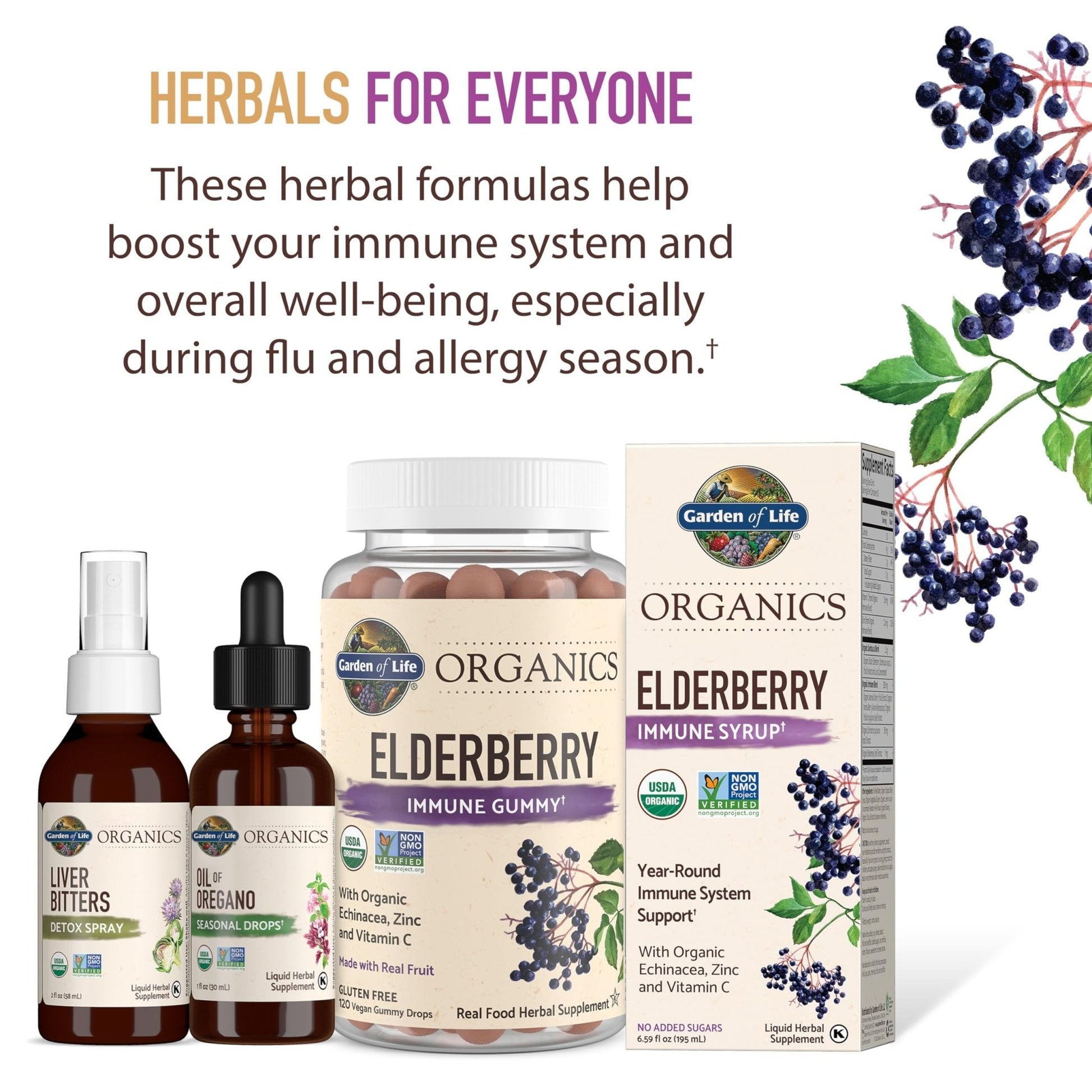 Garden of Life Organics Elderberry Gummies for Adults & Kids - Immune Support Supplement with Organic Fruit, Herbal Blend, Elderberry, Echinacea, Zinc, - Maple Wellness Supplements
