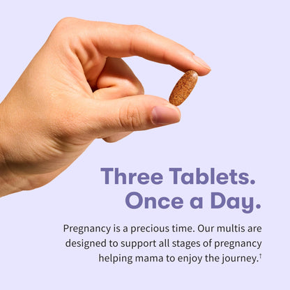 Garden of Life Organics Prenatal Multivitamin with Folate, B6, B12, D3 & Iron – Prenatal Vitamins for Women with Energy Metabolism Support for Healthy Fetal Development - Maple Wellness Supplements