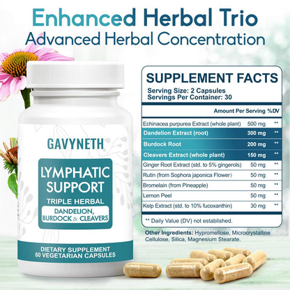 GAVYNETH Lymphatic Drainage Supplements for Lymph System Support – Echinacea, Dandelion & Burdock for Immune & Circulation Support, Vegan Herbal Formula for Women & Men, 60 Capsules - Maple Wellness Supplements