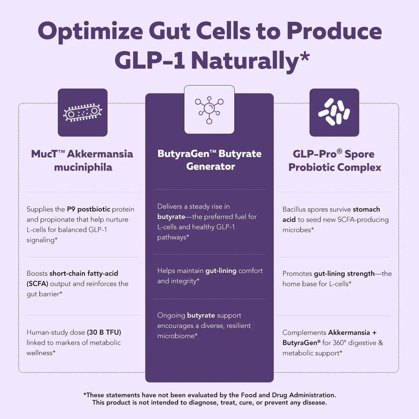 GLP-Pro™: Probiotic & Postbiotic Blend for Natural GLP-1 Support — Akkermansia MucT™, ButyraGen® Butyrate Generator & Spore Bacillus — Healthy Appetite, SCFA & Metabolic Balance — 30 Count - Maple Wellness Supplements