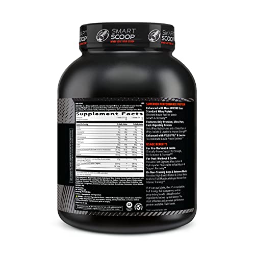 GNC AMP Wheybolic | Targeted Muscle Building and Workout Support Formula | Pure Whey - Maple Wellness Supplements
