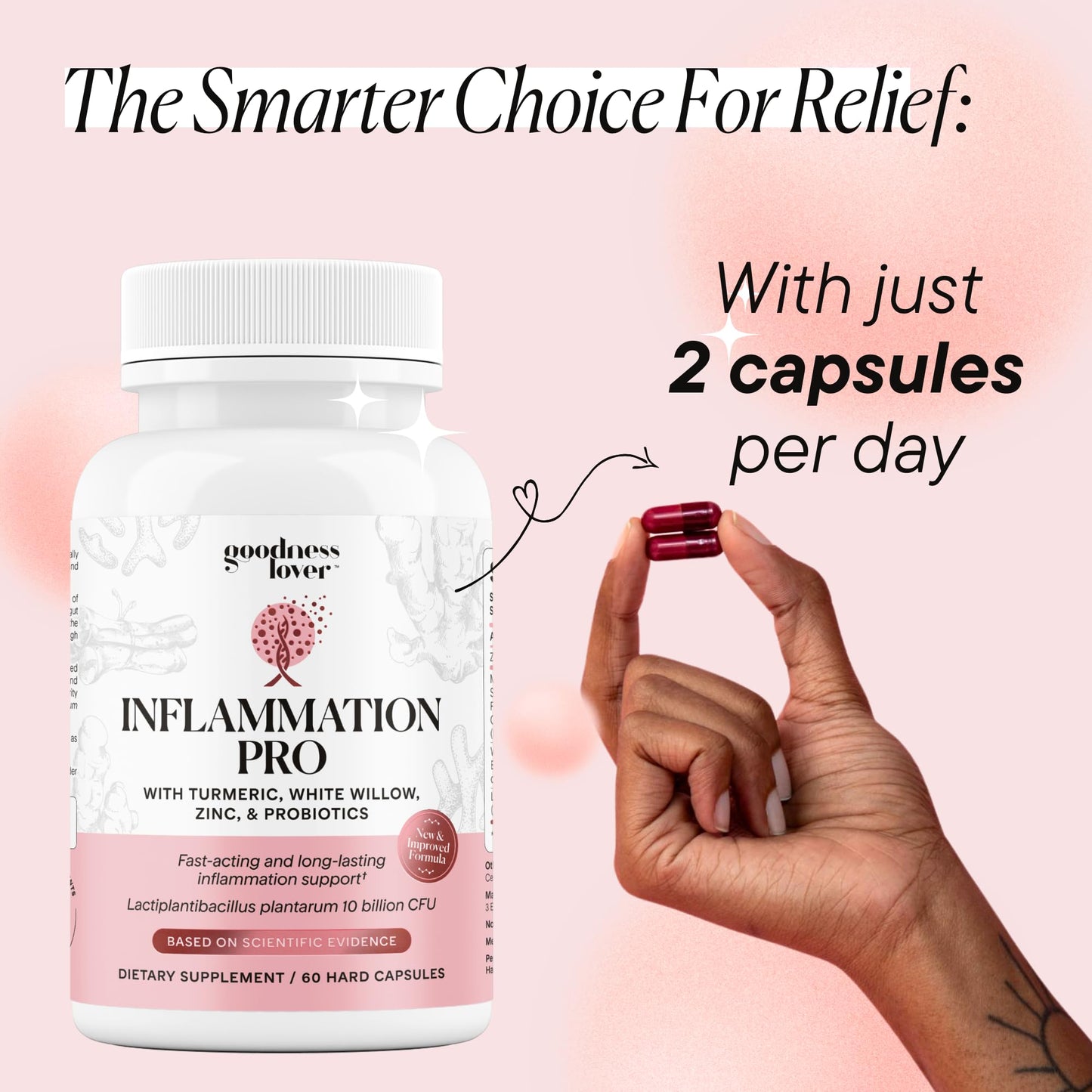 Goodness Lover Inflammation Pro, with 10 Billion CFU for Digestive Support, Curcumin, White Willow bark Extract, Zero fillers, Vegan, 30 Servings - Maple Wellness Supplements