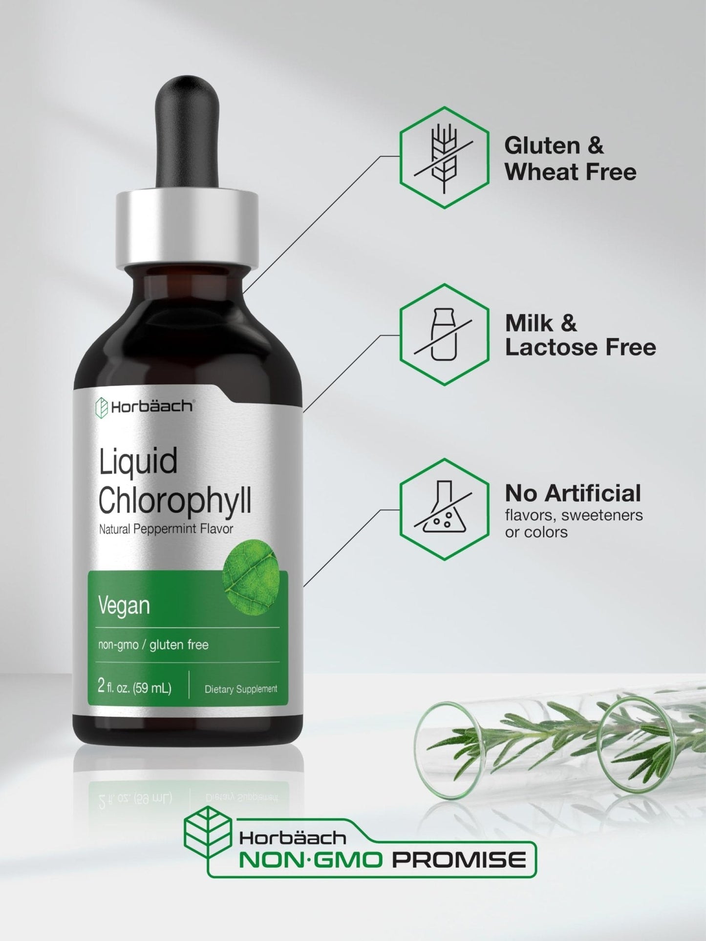 Horbäach Liquid Chlorophyll Drops | 2 oz | Vegan, Non-GMO, and Gluten Free Formula | Natural Peppermint Flavor - Maple Wellness Supplements