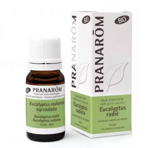 Huile essentielle Eucalyptus radié BIO 10 ml PRANAROM - Maple Wellness Supplements