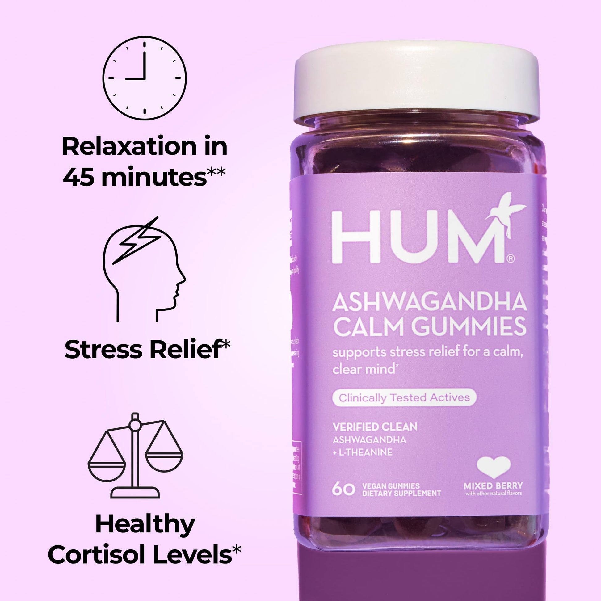 HUM Calm Ashwagandha Gummies for Women and Men, L-Theanine Ashwagandha Supplements for Daily Relaxation & Clarity Support, Vegan Fast Acting Gummy Formula, Mixed Berry Flavor, 60 Gummies - Maple Wellness Supplements