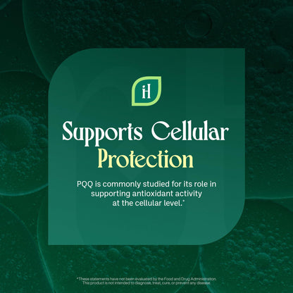 InnerHerb Pyrroloquinoline Quinone PQQ Daily Capsule - Supplement for Adults (60 Capsules, 30 Servings) (20mg Per Serving) - Maple Wellness Supplements