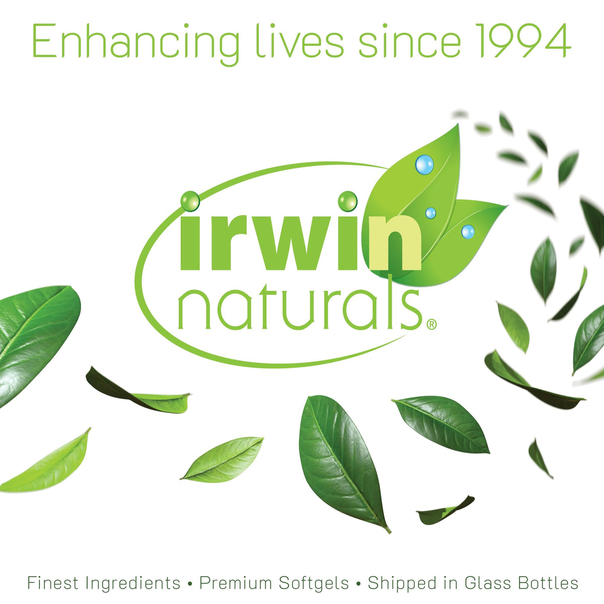 Irwin Naturals Milk Thistle Liver Detox - 60 Liquid Soft-Gels, Pack of 2 - Supports Liver Health with Dandelion, Artichoke, Turmeric & Green Beet Root - 60 Total Servings - Maple Wellness Supplements
