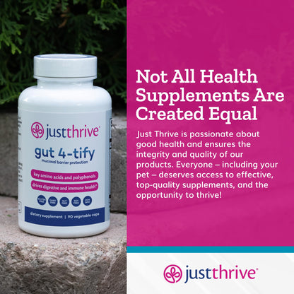 Just Thrive Gut 4-tify - Gut Health Supplements for Women and Men - Anti Bloat, 90 Vegetable Capsules - Maple Wellness Supplements