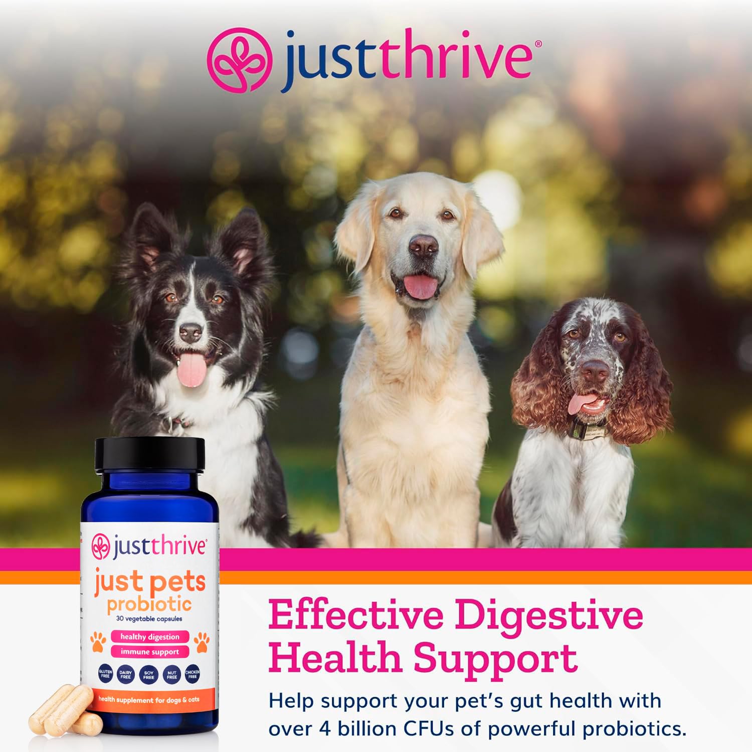 Just Thrive Just Pets Probiotic - Daily Digestive Probiotics for Dogs and Cats - 4 Billion CFUs Pet Probiotic, 30 Capsules - Maple Wellness Supplements