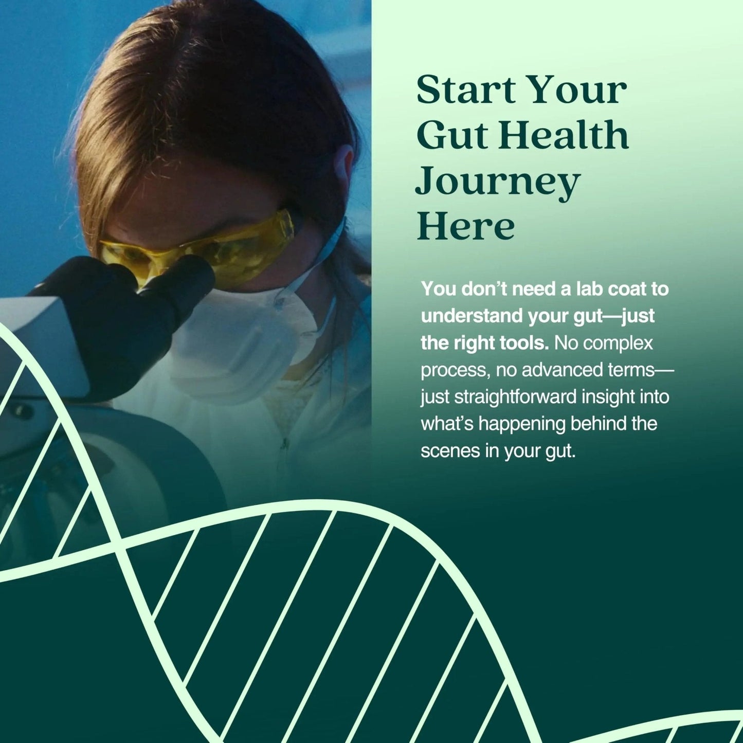 KiHealth – Gut Health Basics Test – at-Home Stool Test for Digestion, Inflammation, and Microbiome Balance – at-Home Kit - Maple Wellness Supplements