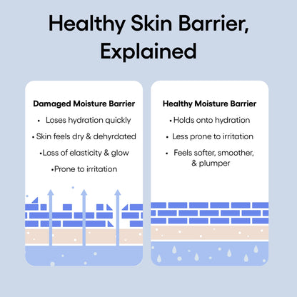 LANEIGE Water Bank Blue Hyaluronic Cream Moisturizer: Hydrating Korean Face Cream with Squalane & Ceramide - Maple Wellness Supplements