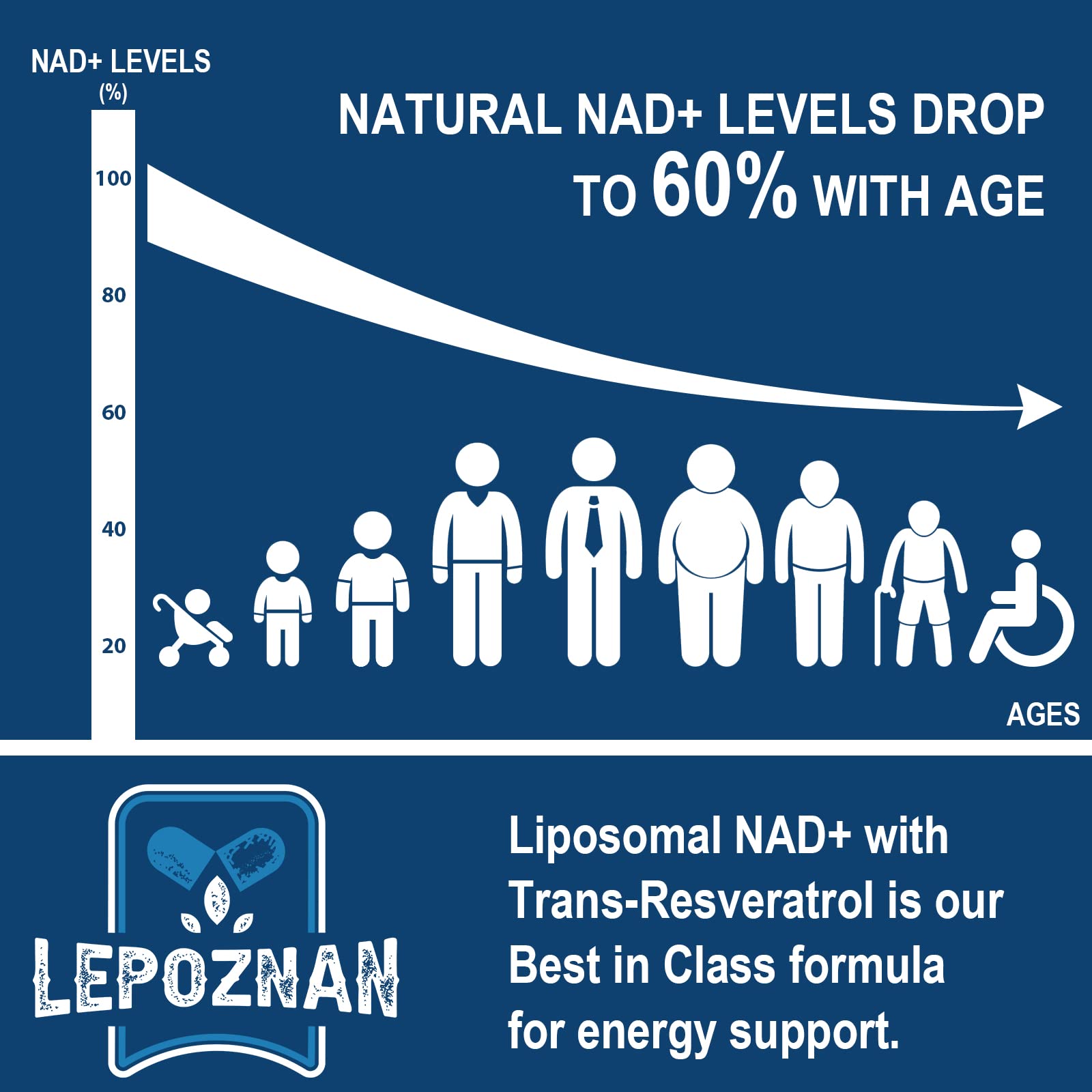 Lepoznan Liposomal NAD+ 500 mg + Trans-Resveratrol 300 mg, Superior Absorption True NAD Supplement Efficient for Cellular Energy Metabolism & DNA Repair, 60 Softgels - Maple Wellness Supplements