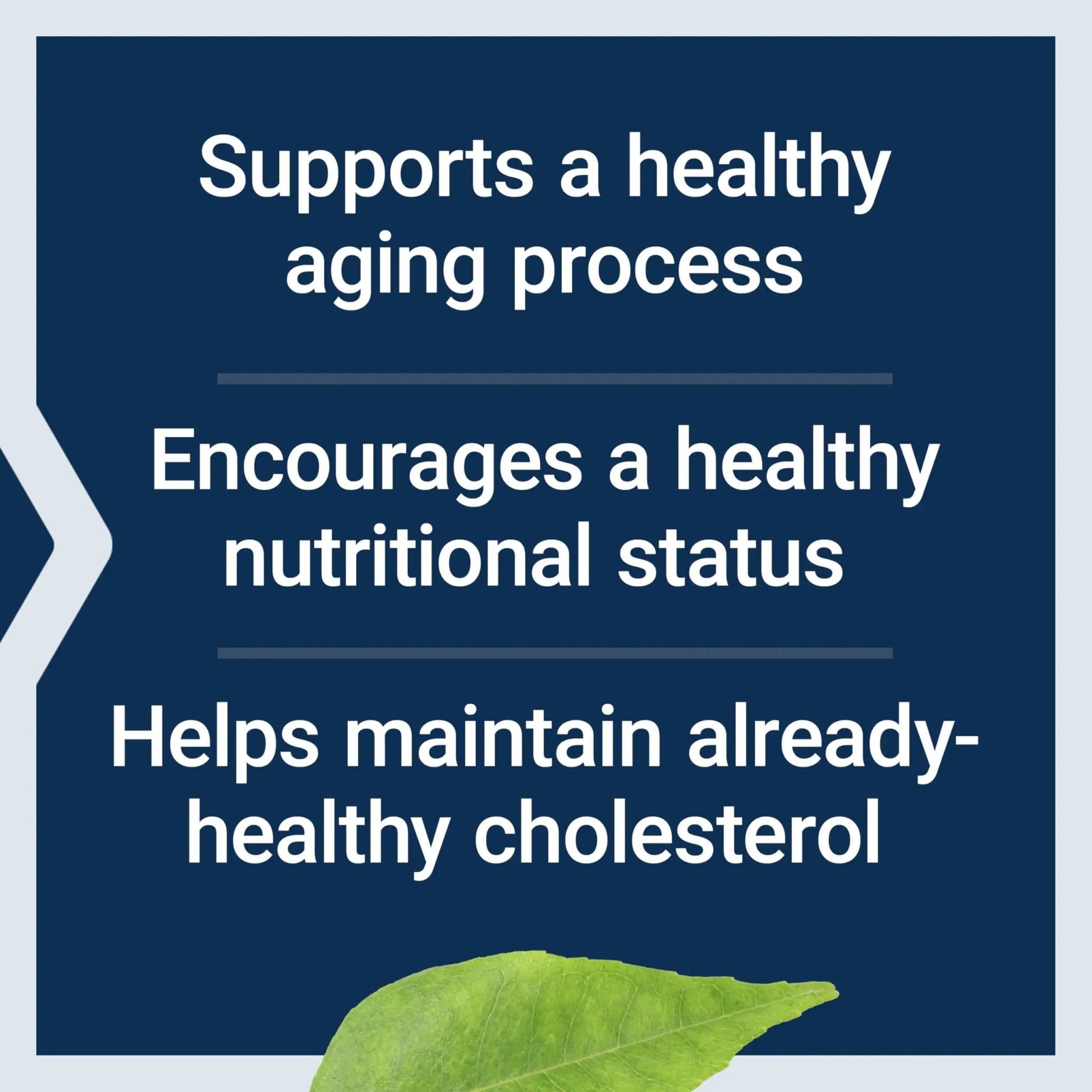 Life Extension FLORASSIST® Probiotic Youthful Gut, Healthy Aging Supplement, postbiotic and probiotic Blend, Heart and Gut Health, Non-GMO, 1-Daily, Gluten-Free, Vegetarian, 30 Capsules - Maple Wellness Supplements