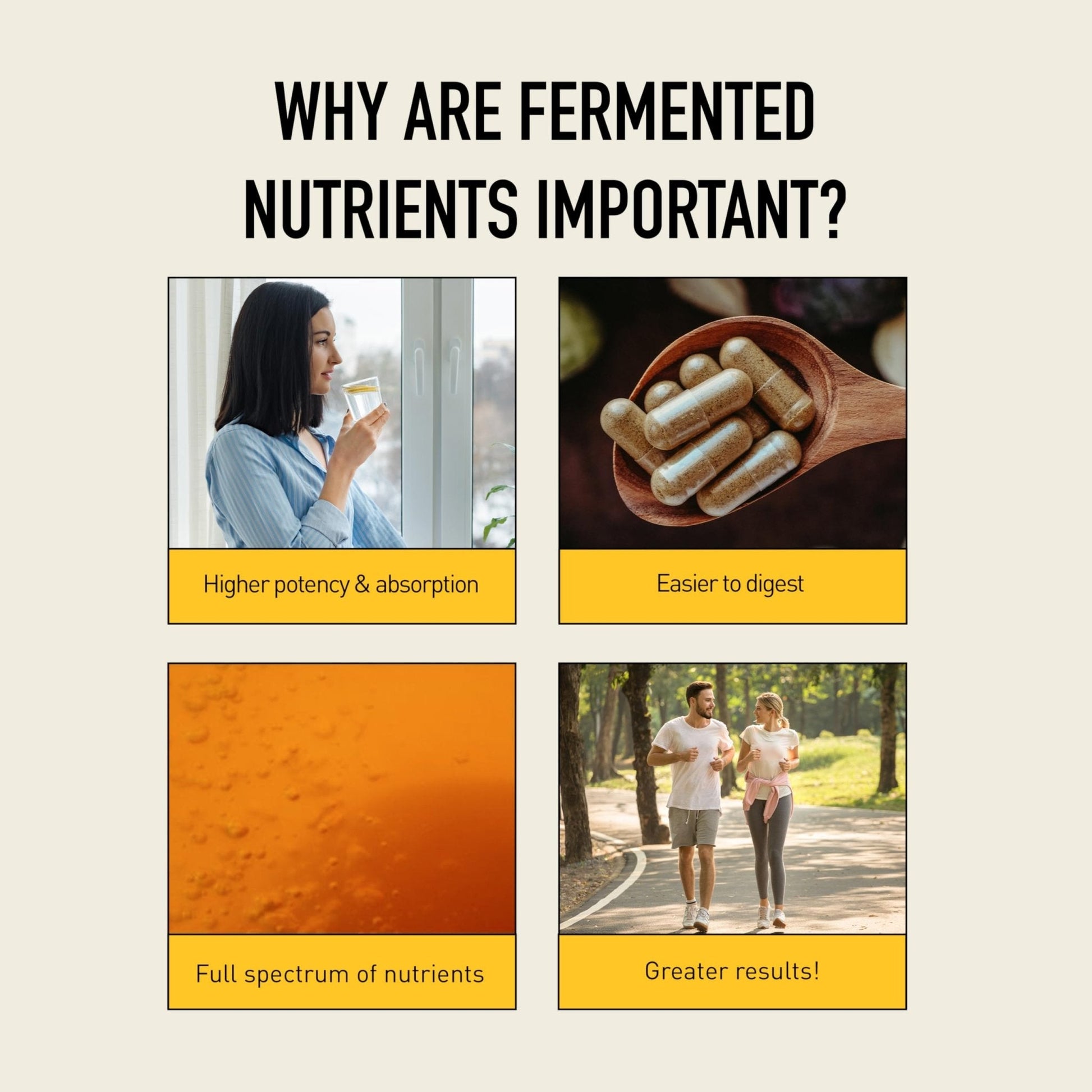 Living Alchemy Gut Health Supplements for Men & Women - Your Flora Probiotic Professional Digestion Supplement with Fermented Soybean, Prebiotics, - Maple Wellness Supplements
