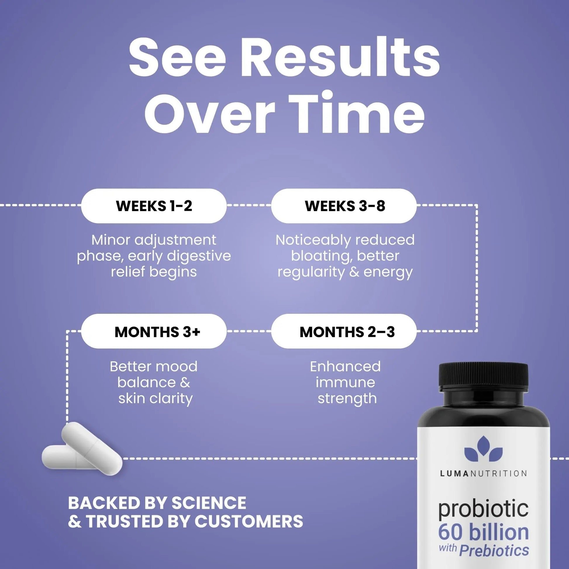 Luma Nutrition Probiotics 60 Billion CFU with Prebiotics - Probiotics for Women and Men - Formulated for Digestive Enzyme Health - Vegan & Gluten-Free - 60 Capsules - Maple Wellness Supplements