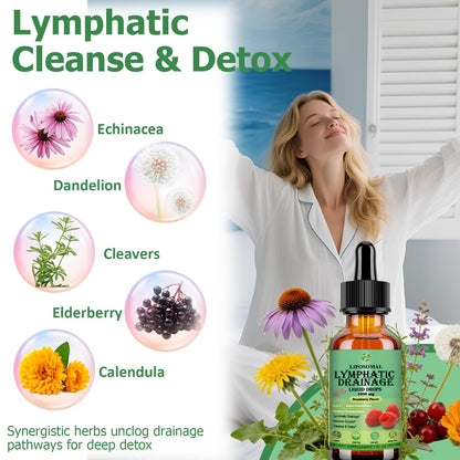 Lymphatic Drainage Drops, 18-in-1 Herbal Lymph System Support w. Echinacea Elderberry Dandelion Burdock Root Cleavers for Lymphatic Cleanse Detox Immune Support, Liposoaml for Max Absorption - Maple Wellness Supplements