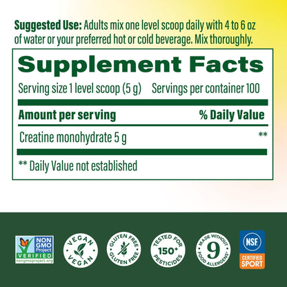 MegaFood Micronized Creatine Monohydrate Powder - Unflavored Post & Pre Workout Powder for Men & Women - Cognitive & Exercise Performance Support - Maple Wellness Supplements