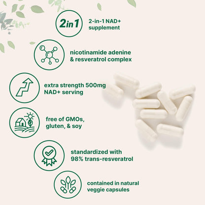 Micro Ingredients NAD+ 500mg with Resveratrol, 240 Veggie Capsules | 2-in-1 NAD Supplement for Women & Men | NMN Pathway Alternative | Non-GMO, Gluten Free - Maple Wellness Supplements