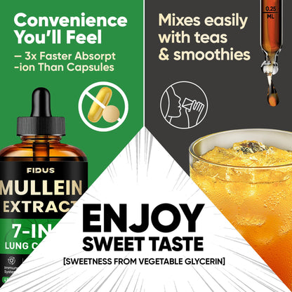 Mullein Drops for Lungs, 120 Servings - Mullein Leaf with 7 Herbs Echinacea, Oregano, Ginger, Elderberry, Marshmallow Root & Thyme - Lung Detox for Smokers - Maple Wellness Supplements