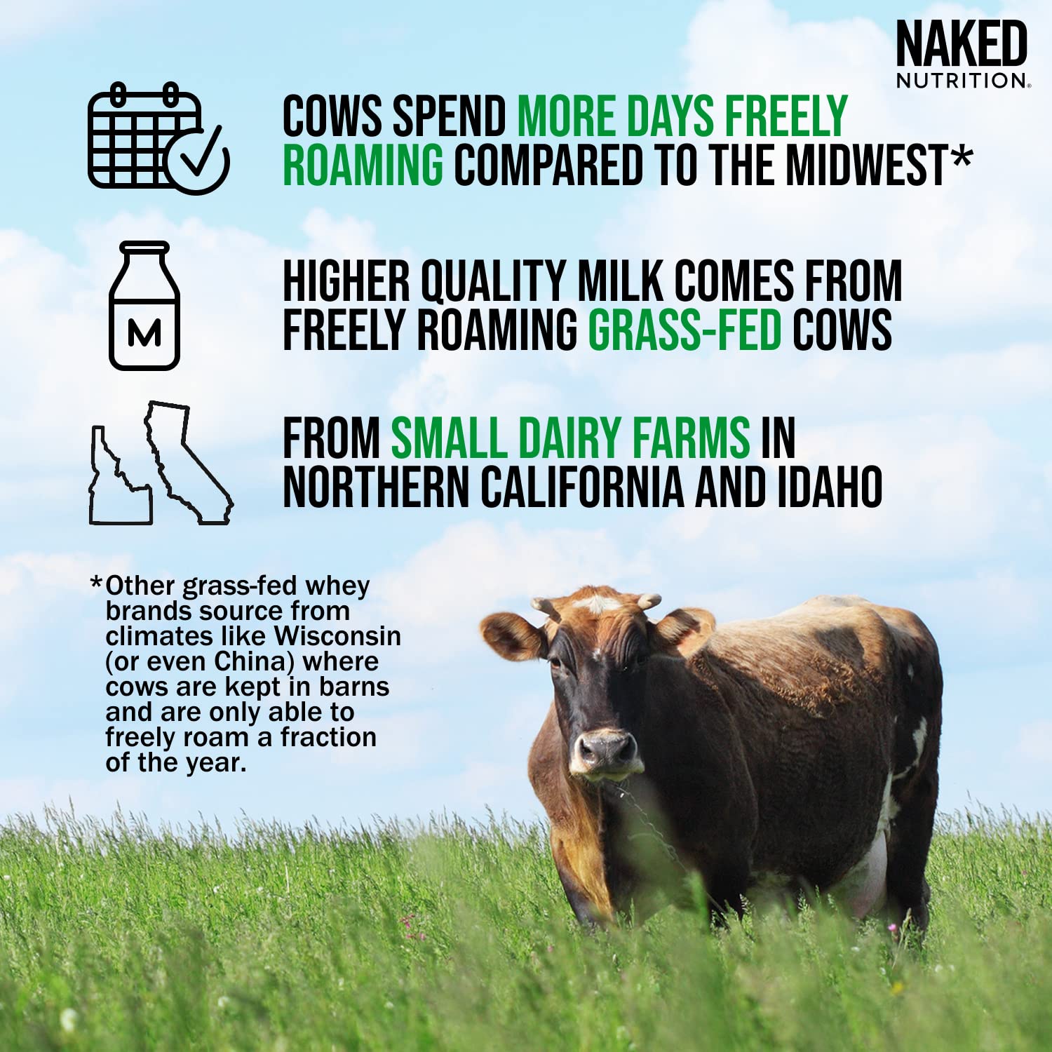 Naked Nutrition Naked Whey 1Lb - Only 1 Ingredient, Grass Fed Whey Protein Powder - Maple Wellness Supplements
