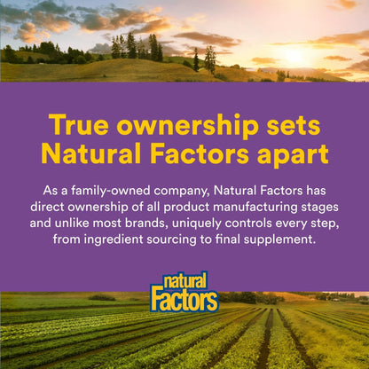 Natural Factors Pharma GABA - Dietary Supplement Supports Calm Sleep & Sleep Quality - Natural, Fast-Working Supplement Aids Focus & Brain Health - 60 Chewable Tablets (60 Servings) - Maple Wellness Supplements