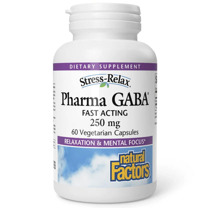 Natural Factors Pharma GABA - Dietary Supplement Supports Calm Sleep & Sleep Quality - Natural, Fast-Working Supplement Aids Focus & Brain Health - 60 Chewable Tablets (60 Servings) - Maple Wellness Supplements